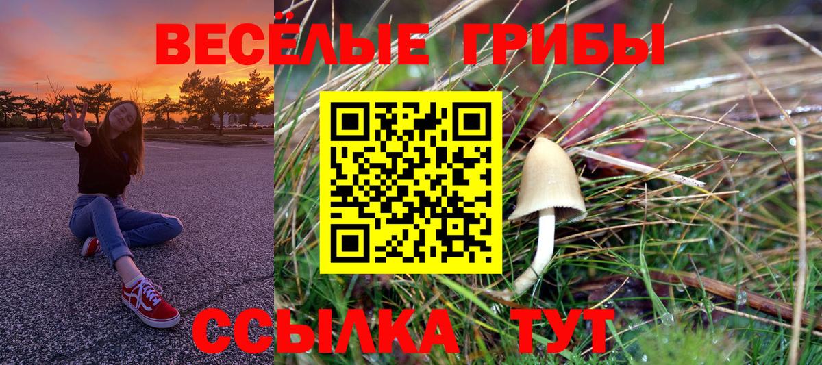Псилоцибиновые грибы Magic Shrooms Еманжелинск